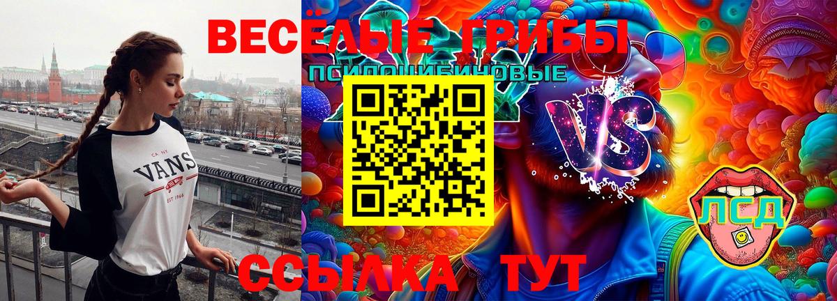 Кизляр  Галлюциногенные грибы мицелий  Вход с VPN 