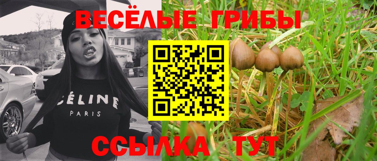 Псилоцибиновые грибы мицелий Кизляр